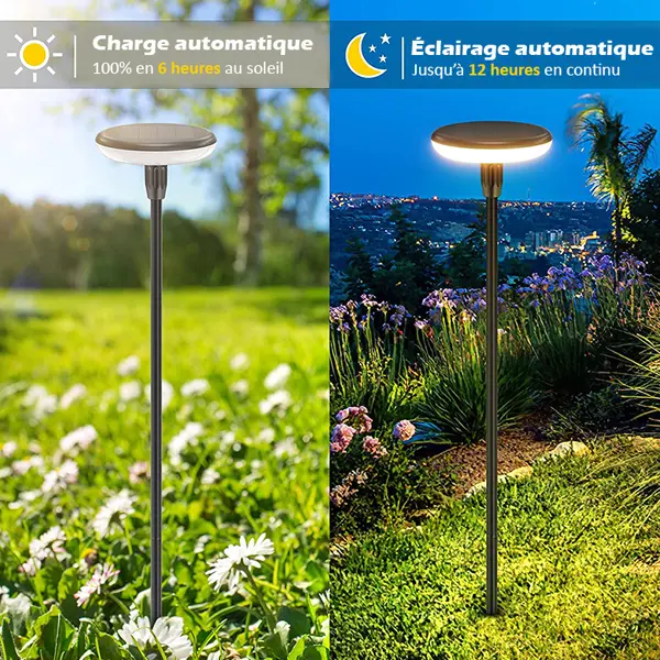 Lot de deux éclairages LED solaires à planter, illumination de composition florale.