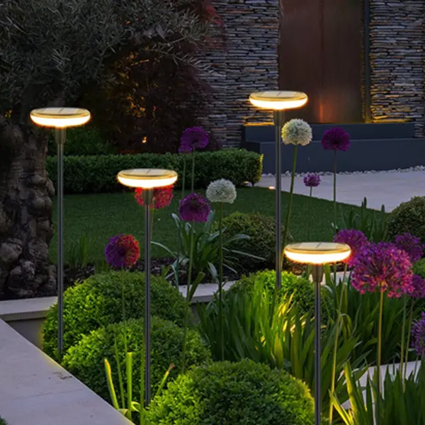 Lot de deux éclairages LED solaires à planter, illumination de composition florale.