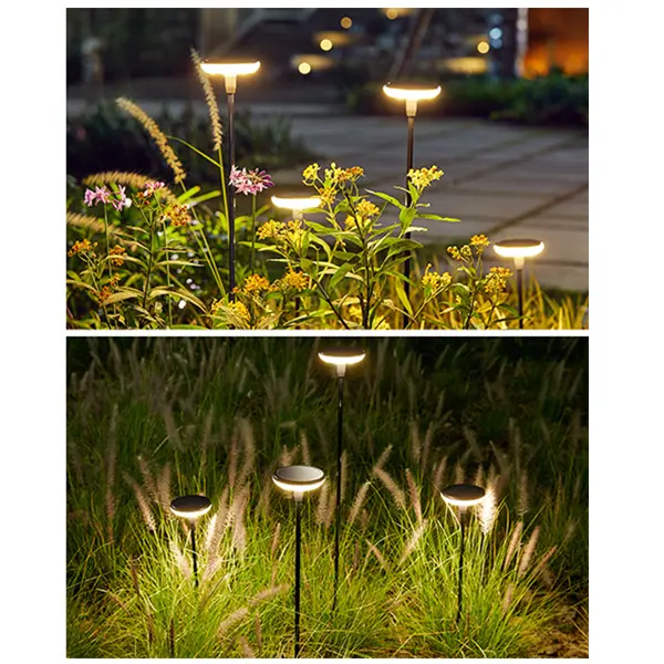 Lot de deux éclairages LED solaires à planter, illumination de composition florale.