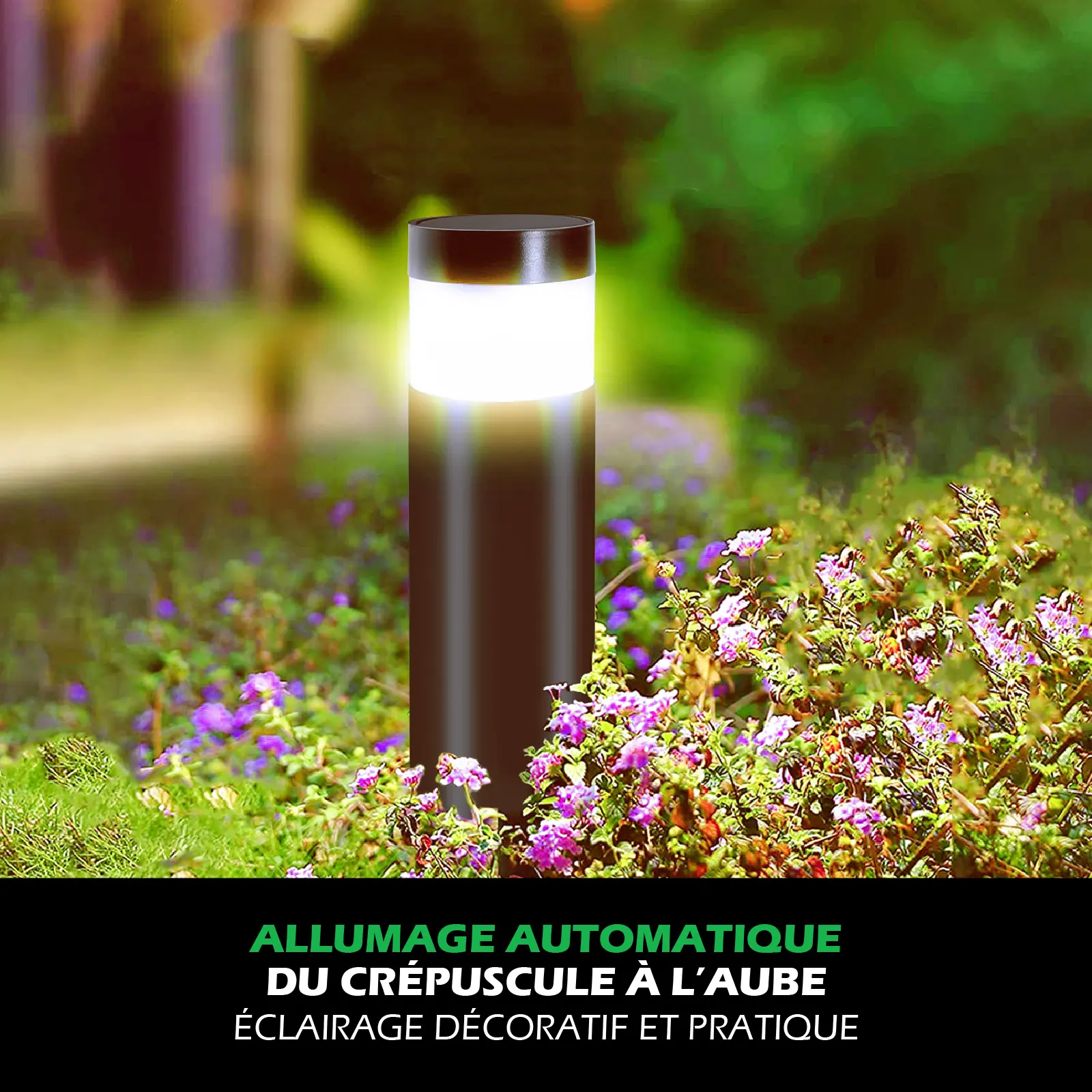 Borne Solaire LED - 18 Lumens - Blanc Chaud 3000K - Panneau 0,48W - Autonomie 8 h - IP44 - À Planter – Image 3